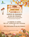 🍂🍄 Cueillette de champignons vendredi 17 octobre 🍂🍄