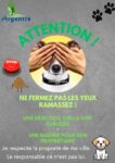 Arrêté portant obligation de ramassage des déjections canines ⚠️