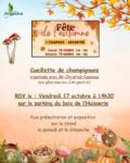 🍂🍄 Fête de l'Automne : cueillette de champignons le vendredi 17 octobre 14h30 au bois de l'Huisserie 🍂🍄
