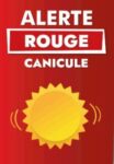 ALERTE ROUGE CANICULE ⚠️⚠️